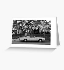 16x9 BW 001 Greeting Card