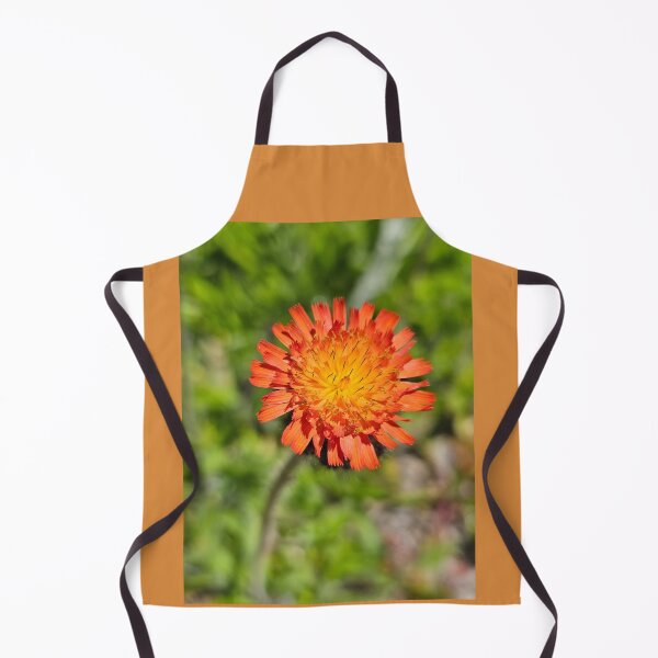 Item preview, Hawkweed Flower designed and sold by Kat Simmons.