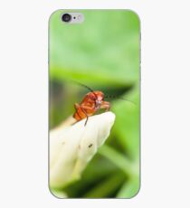Red Soldier Beetle iPhone Case