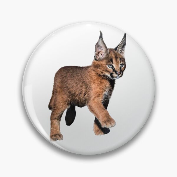 Item preview, Linx designed and sold by di-Vera-Rosati.