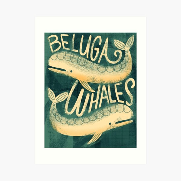 Beluga Whales Art Print