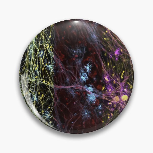 Item preview, DRGs Series: Vines designed and sold by MicroLife-DSG.