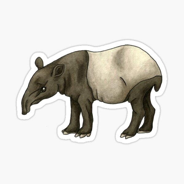 Malaysian Tapir Illustration Sticker