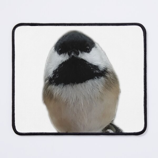 Item preview, Chickadee Close Up designed and sold by Pattern Unhinged.