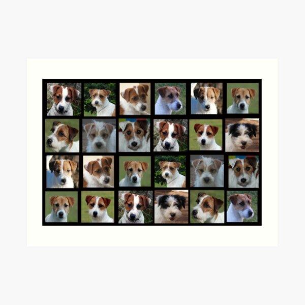 Many Faces Art Print