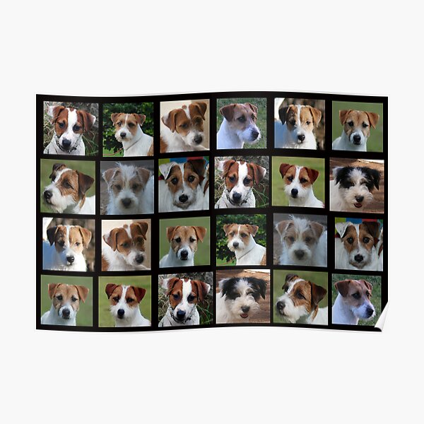 Many Faces Poster