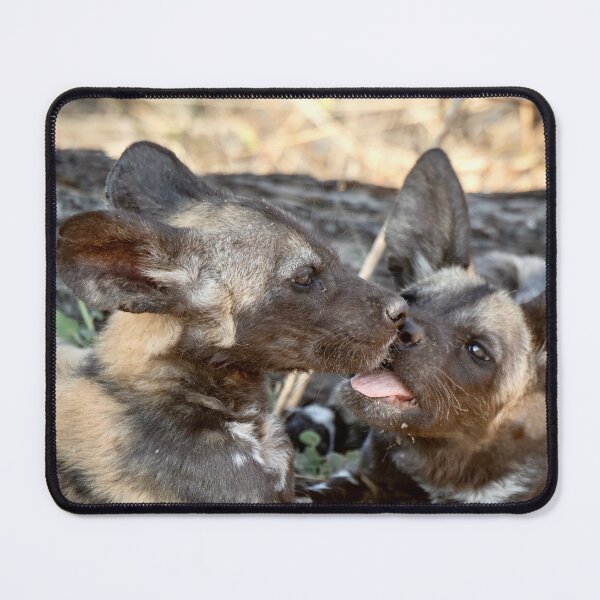 Item preview, African Wild Dog Pups Kissing At The Den designed and sold by DavideAntoniani.
