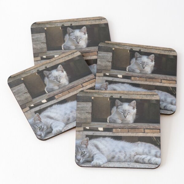 Item preview, Family nap - Cats on pallets" or "Tabby cat and Siamese kitten resting" designed and sold by DavidBuitragoCobo.