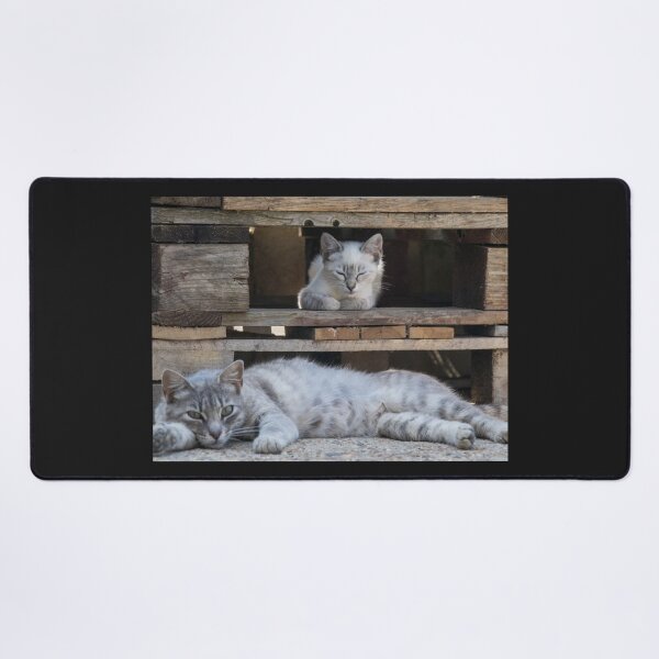 Item preview, Family nap - Cats on pallets" or "Tabby cat and Siamese kitten resting" designed and sold by DavidBuitragoCobo.
