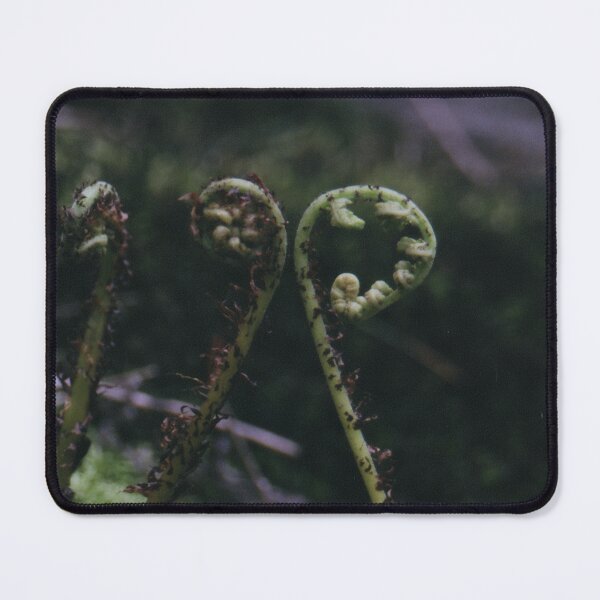 Item preview, Fiddleheads designed and sold by Brandon William / The Demon Kelbroton.