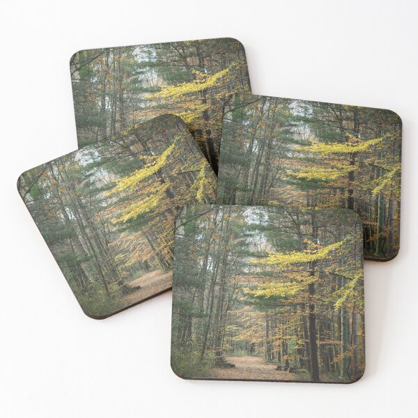 Item preview, Autumn Path designed and sold by GlimpseBeauty11.