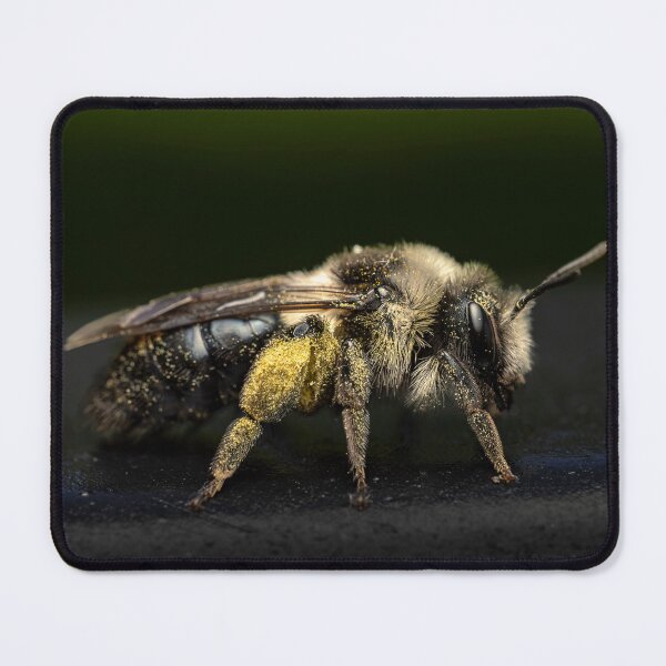 Item preview, Close-up of a bee designed and sold by Life-close-up.
