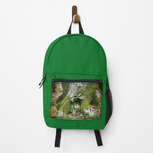 Item preview, Fern Cuddling With A Tree Trunk designed and sold by GlimpseBeauty11.