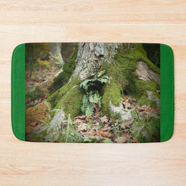 Item preview, Fern Cuddling With A Tree Trunk designed and sold by GlimpseBeauty11.