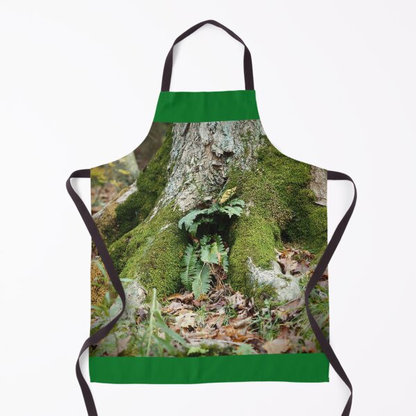 Item preview, Fern Cuddling With A Tree Trunk designed and sold by GlimpseBeauty11.