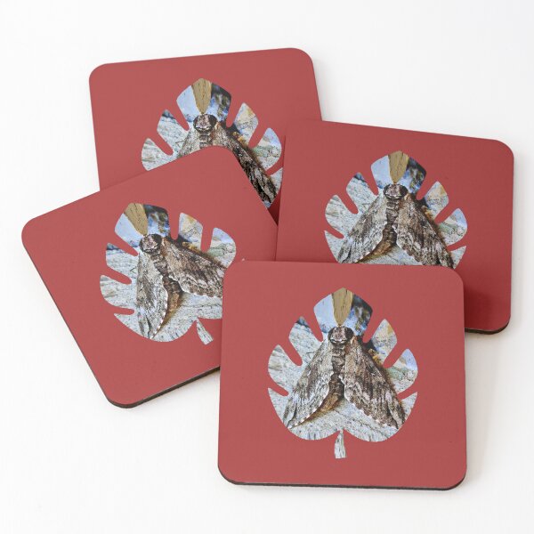 Item preview, moth designed and sold by KatJoDesigns.