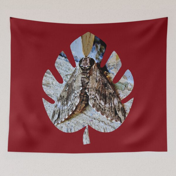 Item preview, moth designed and sold by KatJoDesigns.