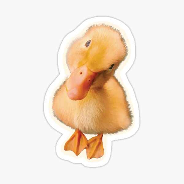 Cute Baby Duck Gifts Merchandise Redbubble