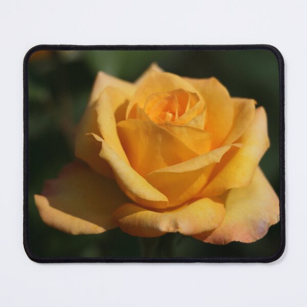 Item preview, Yellow Rose designed and sold by ParisPoet.