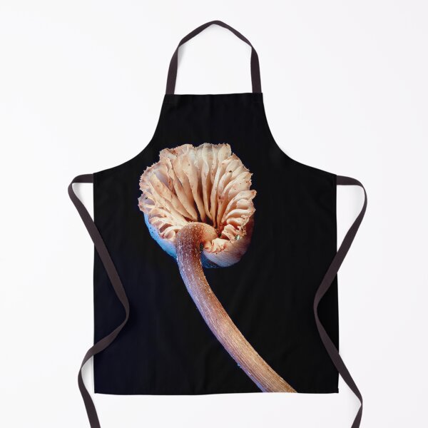 Item preview, A small, thin mushroom on a black background designed and sold by Life-close-up.