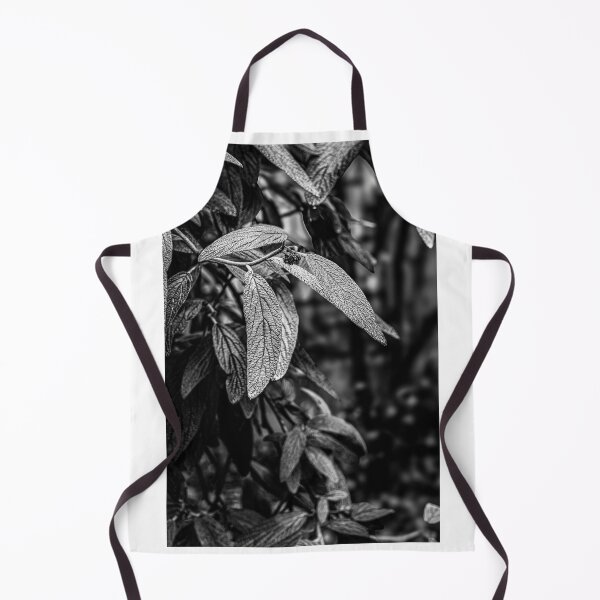 Item preview, Leatherleaf Viburnum – Black and White Close-Up designed and sold by Rabee Khalil Photography.