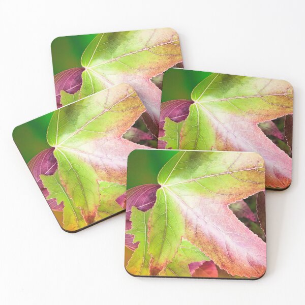 Item preview, Autumn Colors designed and sold by Hoot's House of Fun.