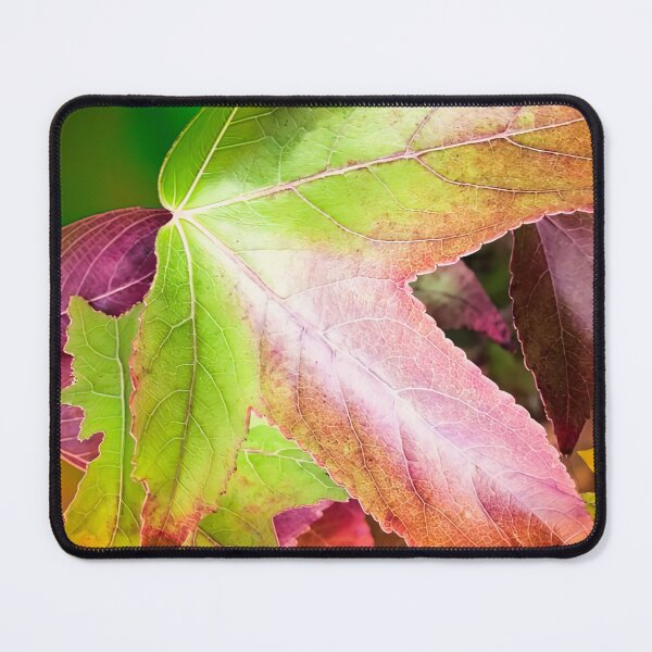 Item preview, Autumn Colors designed and sold by Hoot's House of Fun.