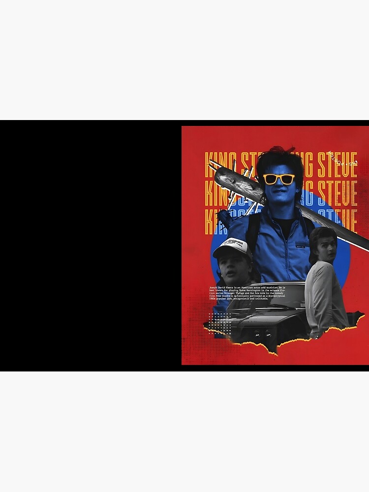 Steve Harrington Journal