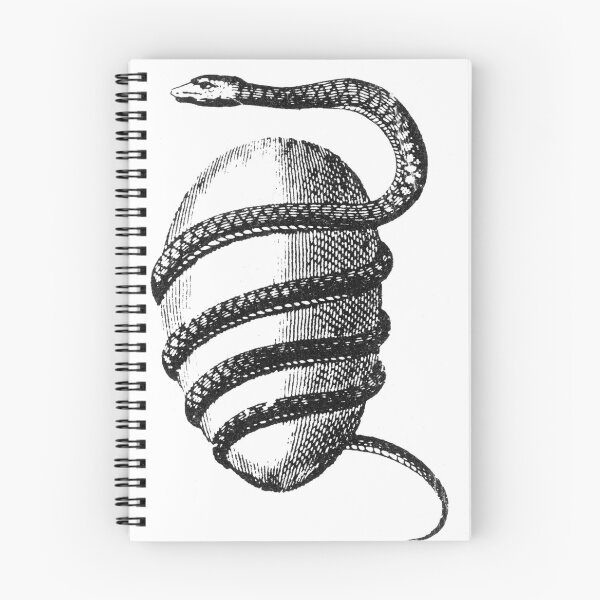 Item preview, Cosmology, Orphic Egg, Source of the Universe designed and sold by ScienceSource.