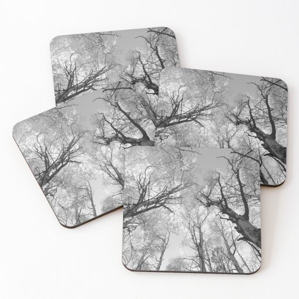 Item preview, Black & White Forest Canopy Photography | Ground-to-Sky Nature Print designed and sold by ShadeScapeArt.