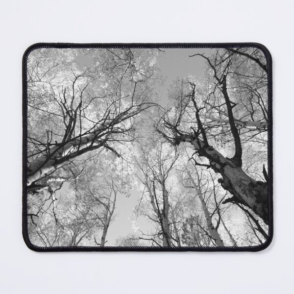 Item preview, Black & White Forest Canopy Photography | Ground-to-Sky Nature Print designed and sold by ShadeScapeArt.