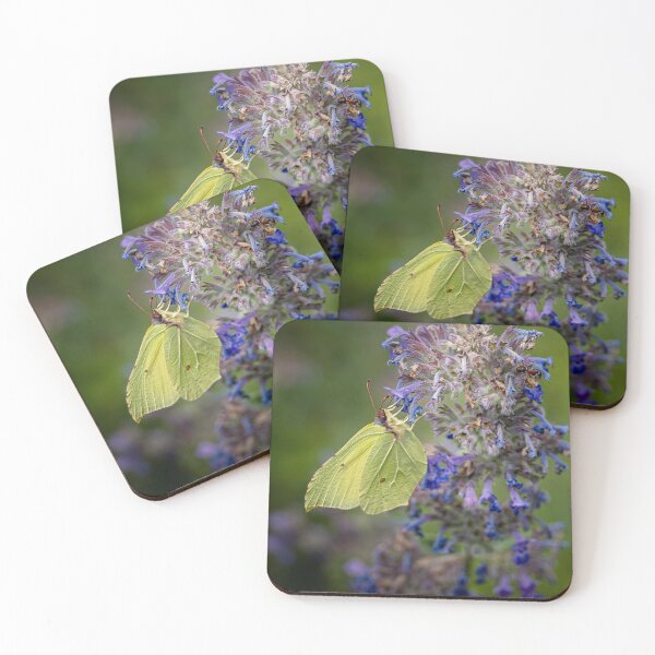 Item preview, Brimstone Butterfly on a Faassen's catmint designed and sold by Life-close-up.