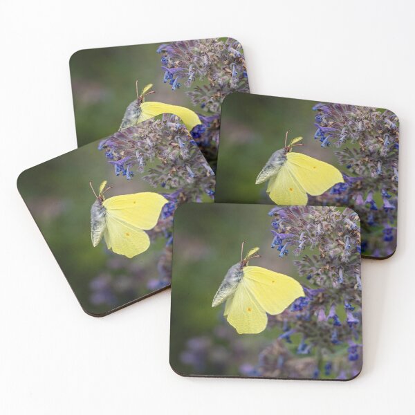 Item preview, Brimstone Butterfly on a Faassen's catmint designed and sold by Life-close-up.