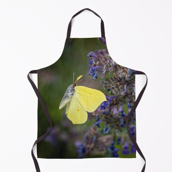 Item preview, Brimstone Butterfly on a Faassen's catmint designed and sold by Life-close-up.