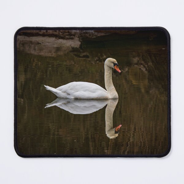Item preview, Elegant Swan Reflection - Oyambre Natural Park (Cantabria) designed and sold by DavidBuitragoCobo.