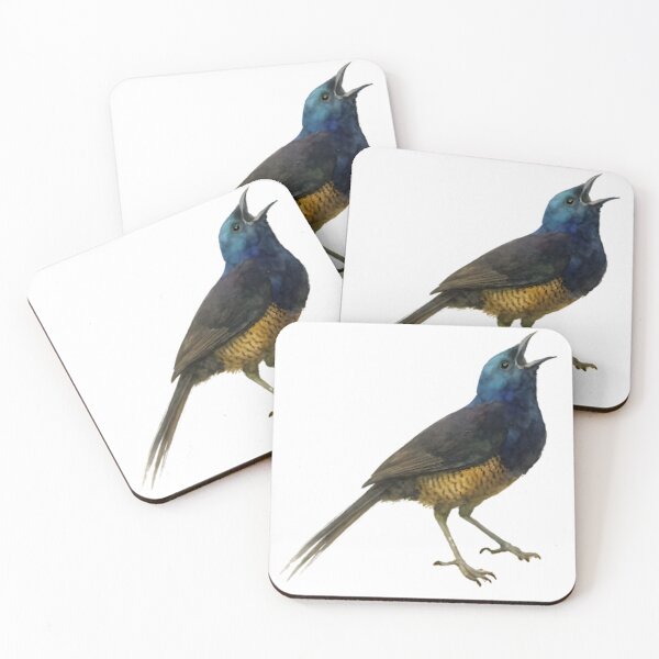 Item preview, Ribbon-tailed Astrapia (Astrapia mayeri) designed and sold by HOMETOWN86.