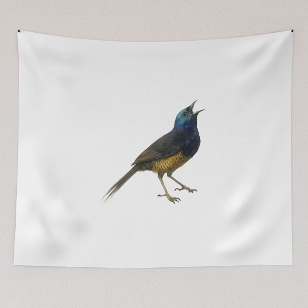 Item preview, Ribbon-tailed Astrapia (Astrapia mayeri) designed and sold by HOMETOWN86.