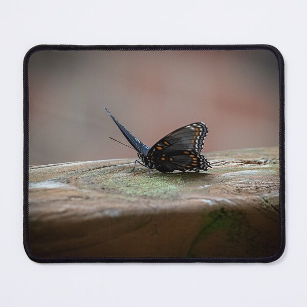 Item preview, Red Spotted Purple designed and sold by WrightDesignsUS.
