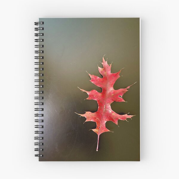 Item preview, Red Oak Leaf Still Life Photograph designed and sold by Spirit Oracle Art.
