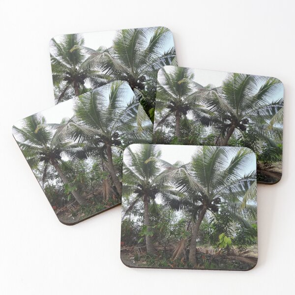 Item preview, Coconut Palm Trees designed and sold by MoodyMuseArt.