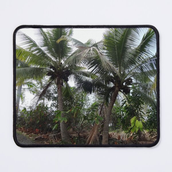 Item preview, Coconut Palm Trees designed and sold by MoodyMuseArt.