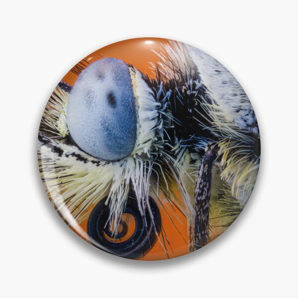 Item preview, Extreme Macro Butterfly Portrait - Blue Eye & Curled Proboscis Detail designed and sold by DavidBuitragoCobo.
