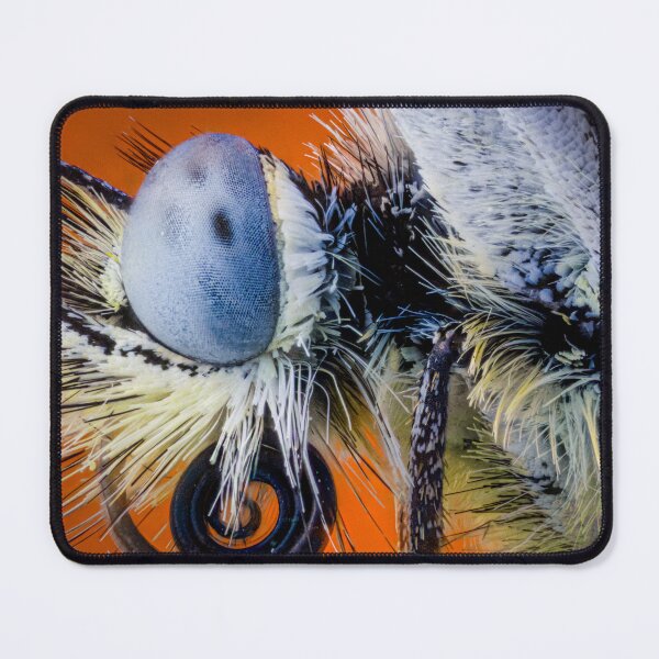 Item preview, Extreme Macro Butterfly Portrait - Blue Eye & Curled Proboscis Detail designed and sold by DavidBuitragoCobo.