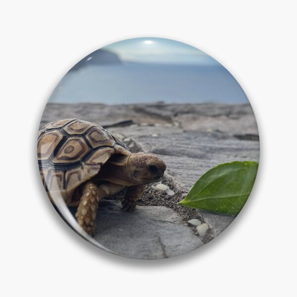 Item preview, Tortoise by the Sea – Slow and Steady Journey designed and sold by TrisaThyme.