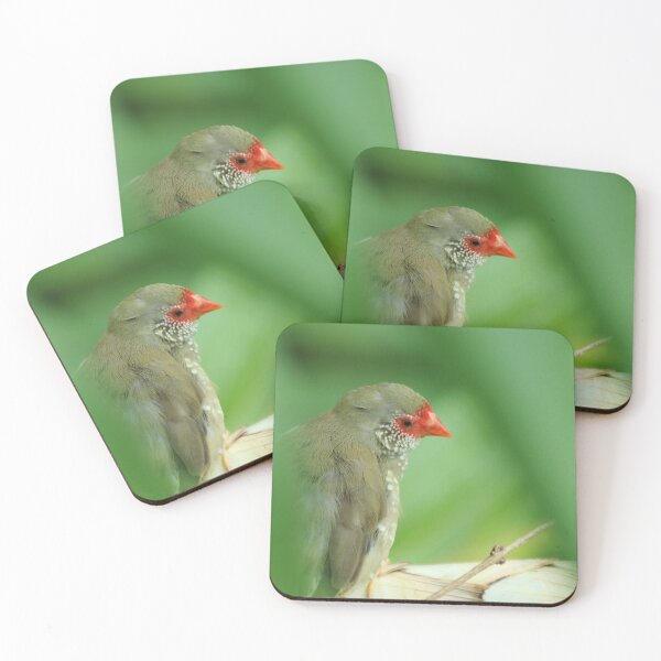 Item preview, Bird on a Book designed and sold by Olivia Plasencia.