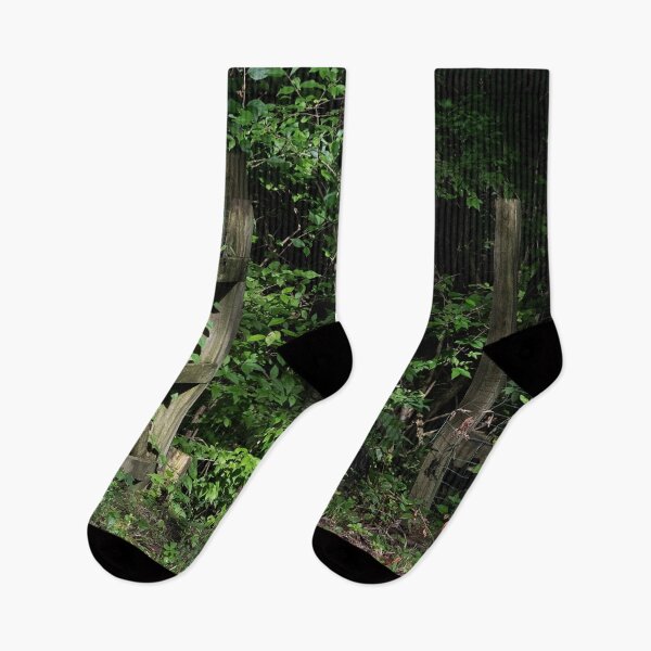 Item preview, Hidden Path designed and sold by WrightDesignsUS.