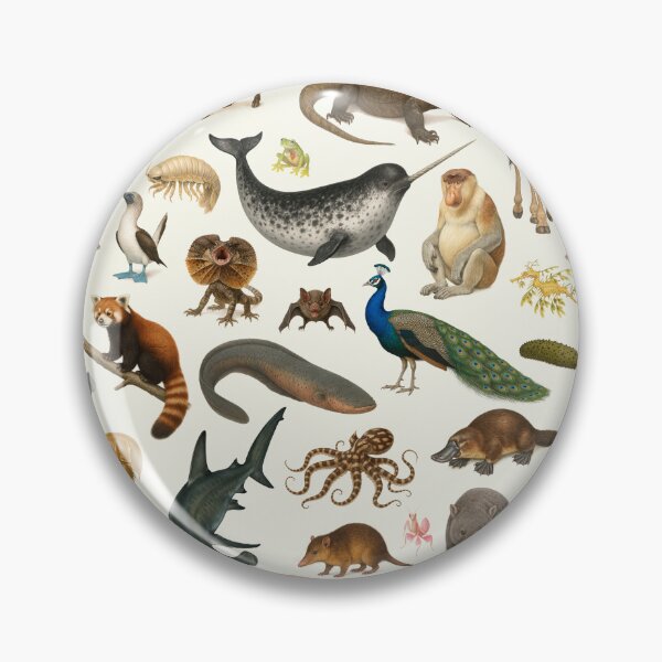 Item preview, Weird and Wonderful Animals Retro Wildlife Chart designed and sold by kakarikihill.