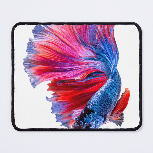 Item preview, Fish and Aquatic life designed and sold by Fmv1976.