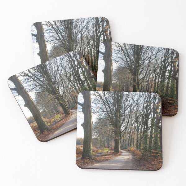 Item preview, Cycling on a Sunny Day in December designed and sold by jchanders.
