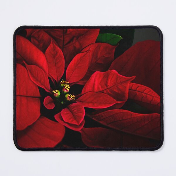 Item preview, Poinsettia designed and sold by Lois Bryan.